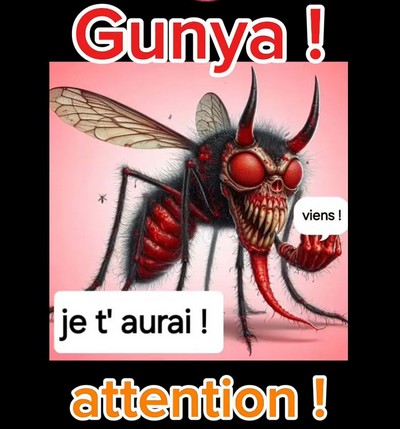 Attention ! il est là
